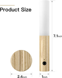 Rechargeable Intelligent Induction lamp