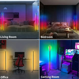 Metal Frame LED Floor Lamp Living Room, Corner Lamp RGBIC App control