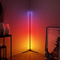 Metal Frame LED Floor Lamp Living Room, Corner Lamp RGBIC App control