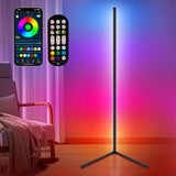 Metal Frame LED Floor Lamp Living Room, Corner Lamp RGBIC App control
