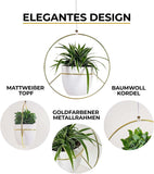 Hanging Plant Pots Indoor | Set of 2 Plant Hangers