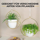 Hanging Plant Pots Indoor | Set of 2 Plant Hangers