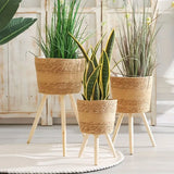 set of 3 Plant Stand Basket