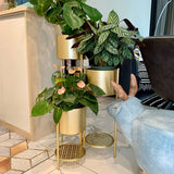 Metal Plant Stand, 6 Tier 6 Potted Indoor Outdoor Flower Pot Stand